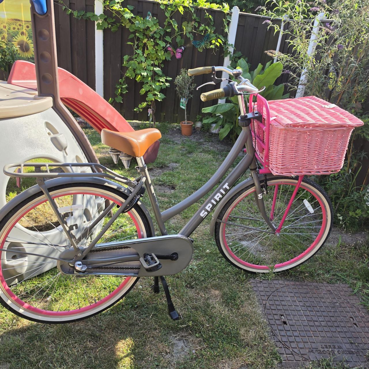Spirit Cargo 28inch met mand