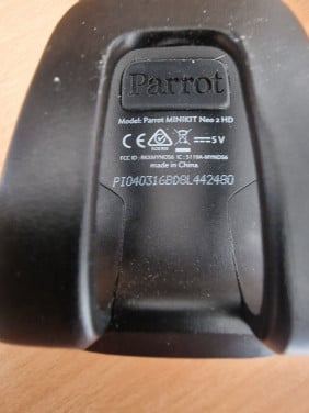 Parrot