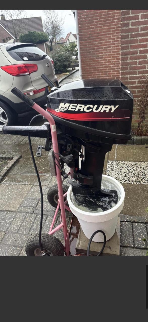 Mercury 8 pk kortstaart