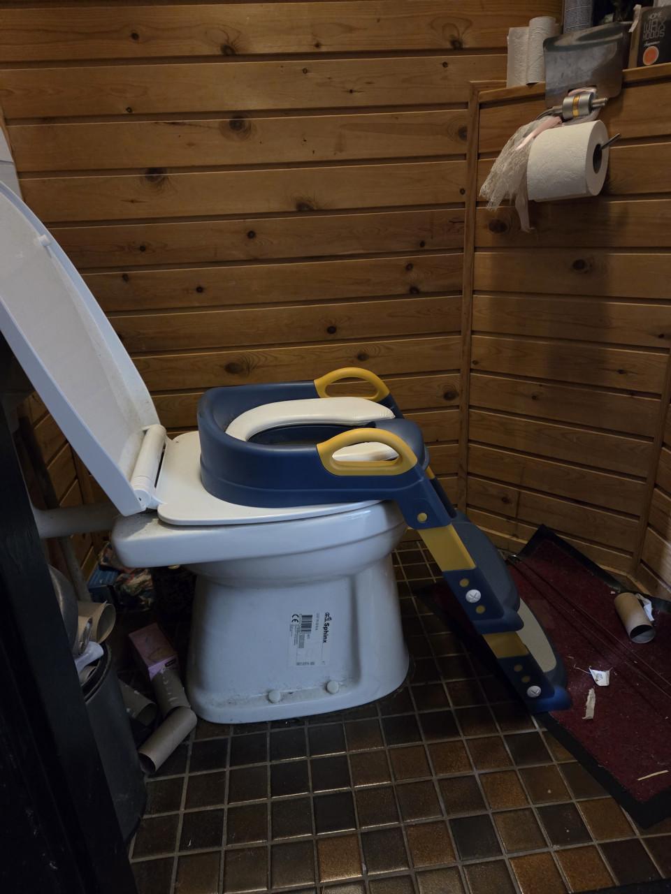 Handige toiletverkleiner met trapje