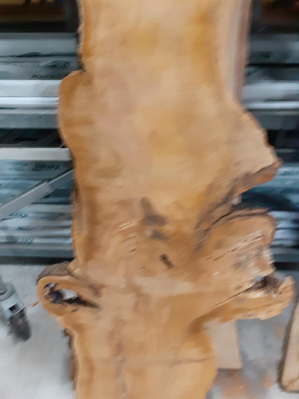 TEAK essen kers plataan amberboom LINDE boomstamblad 25 ps bij hhzb