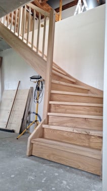 Zeeuwse Iep / Olm stam, hout voor meubels en interieur