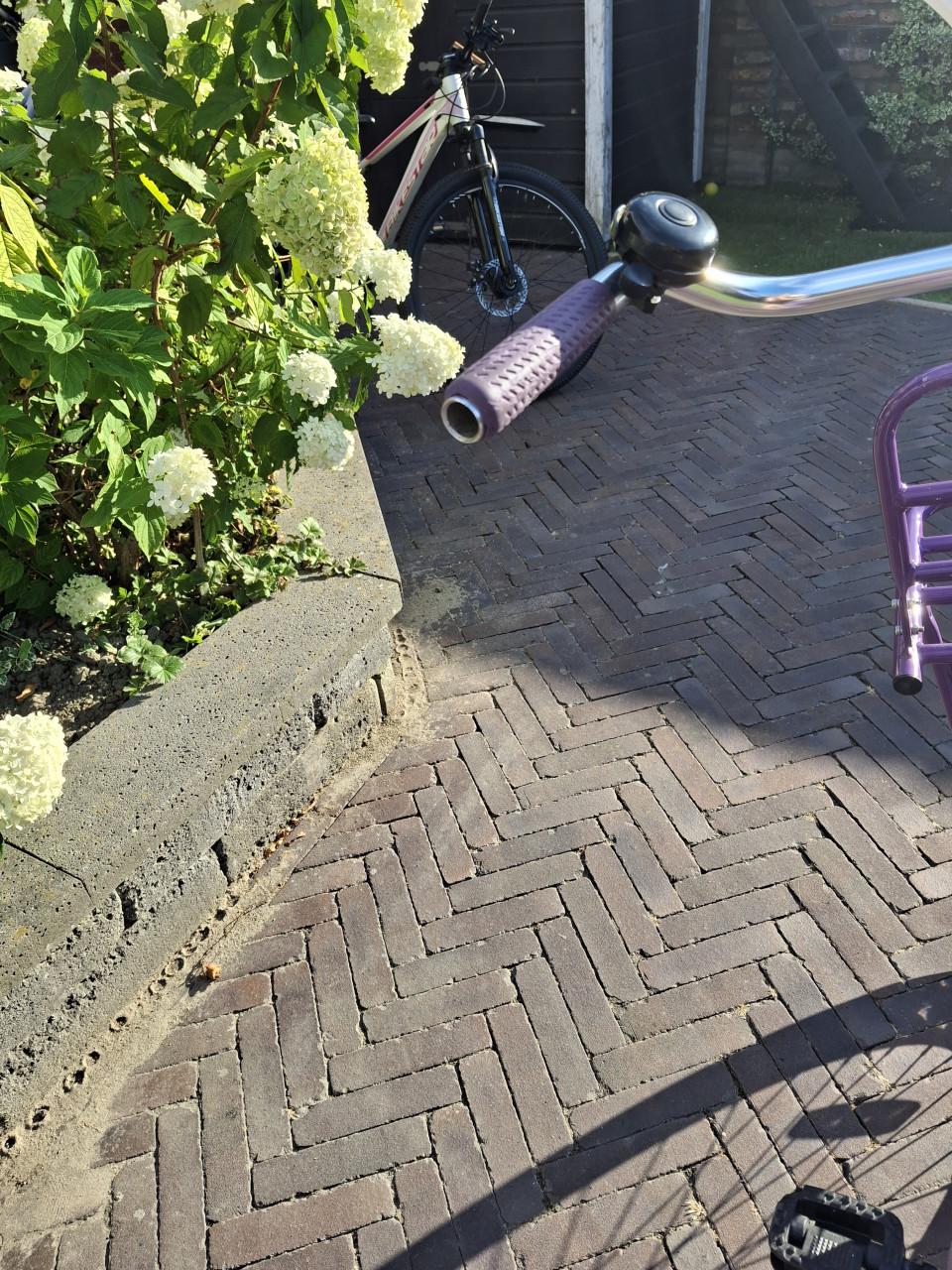 Meisjesfiets