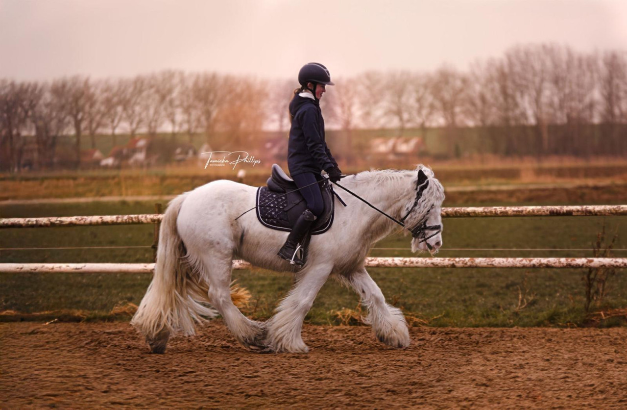 Lieve sprookjespony