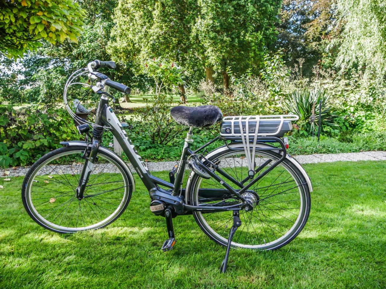 Elektrische fiets Giant Prime