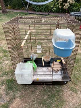 Vogelkooi met accessoires