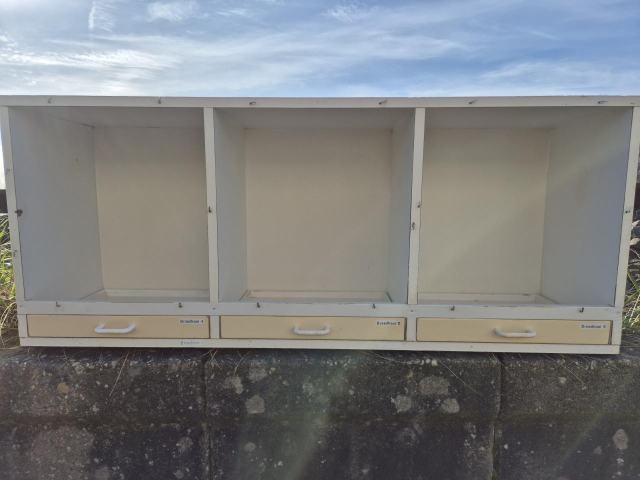 Twee broedkooien (wit)