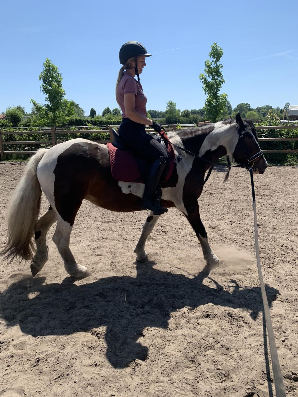 #Equi Pride# Grondwerk, rijden, gedrag, ESDr etc.