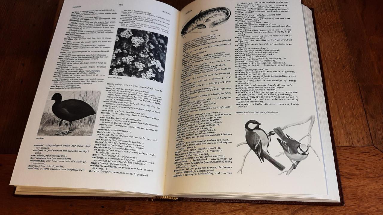 Mooi Geillustreerd Woorden boek