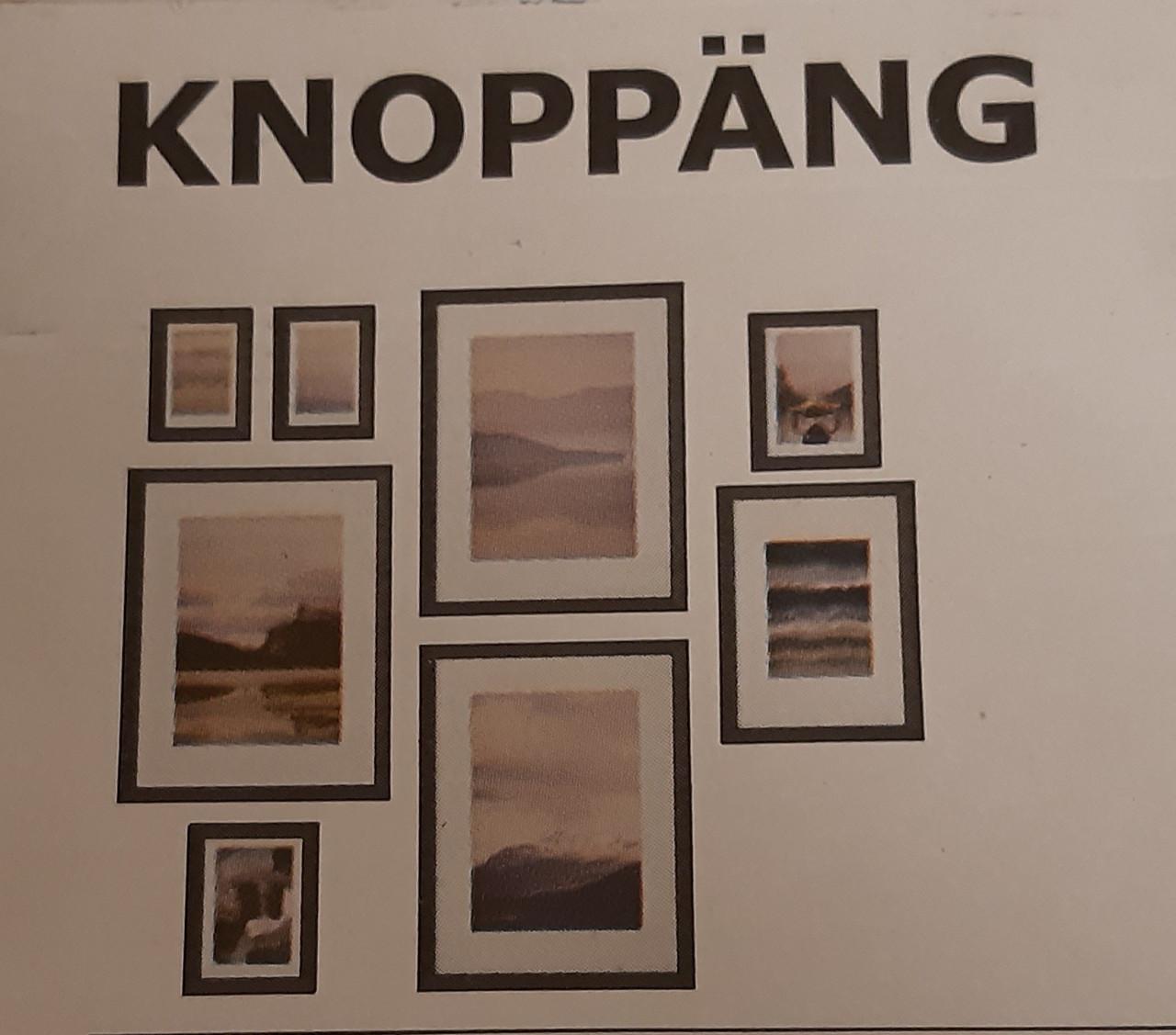 Ikea KNOPPÄNG zwarte lijsten met afbeelding, set van 8.