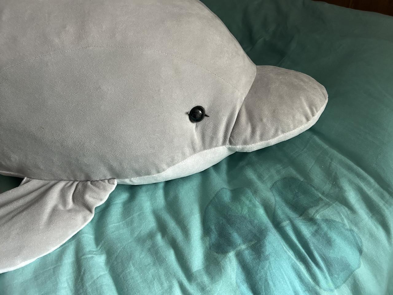 Super grote DOLFIJN knuffel.