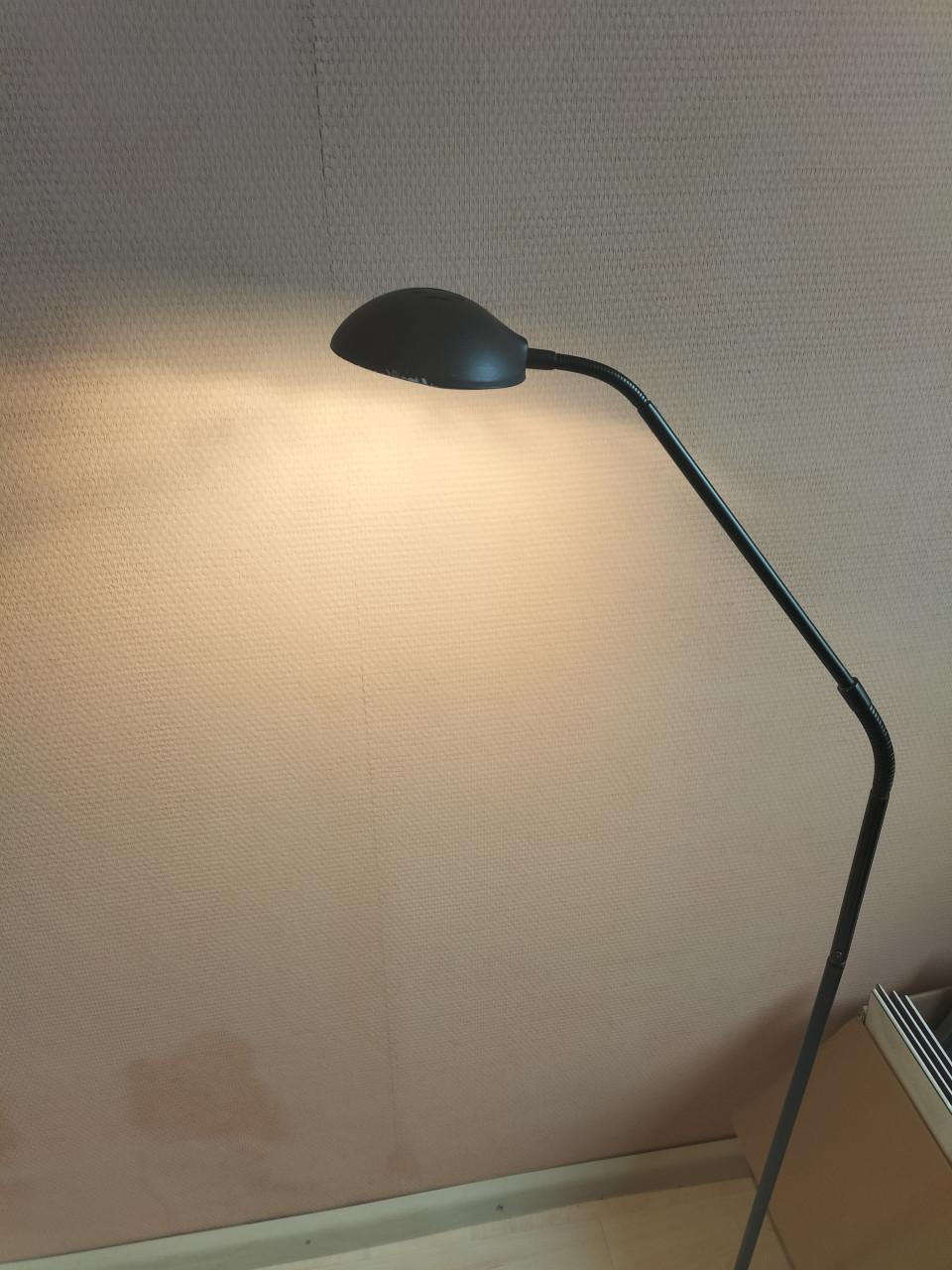 Staande haligeen-leeslamp