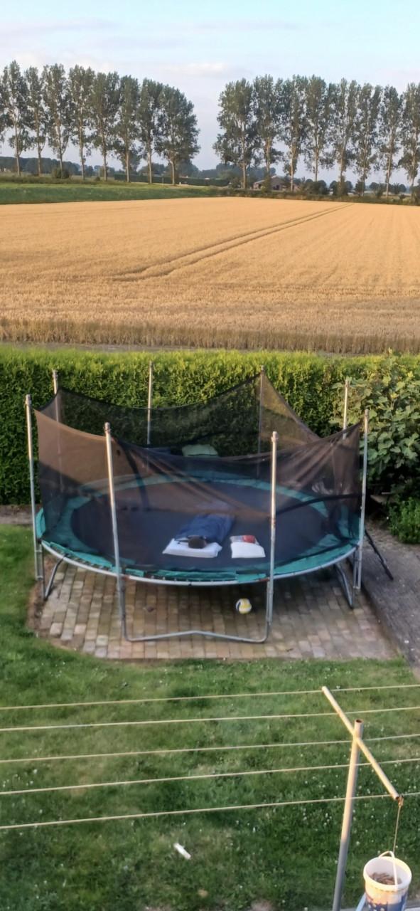 Te koop trampoline merk Berg