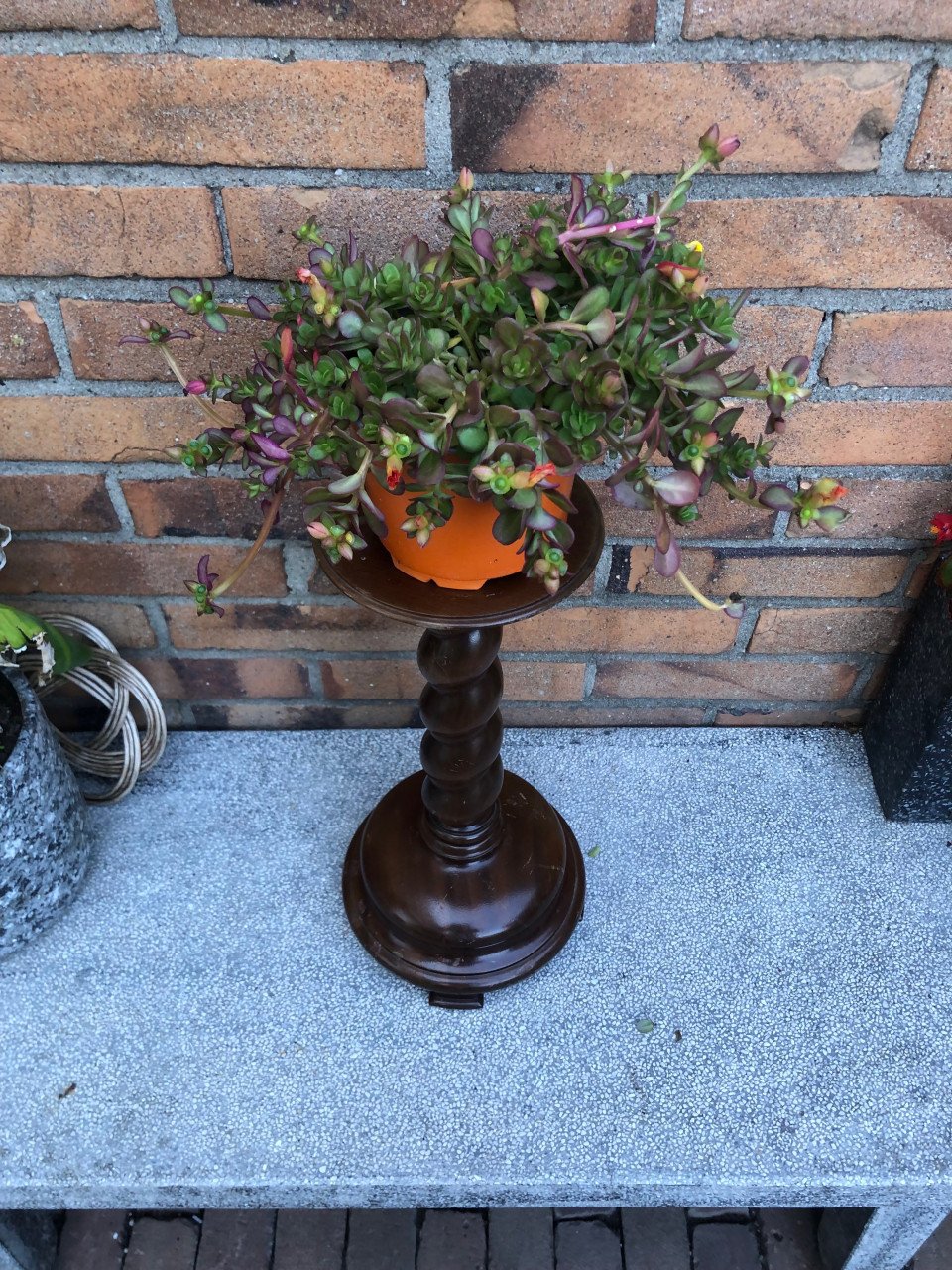 Retro kaarsenstandaard ook leuk om een plant op te zetten.