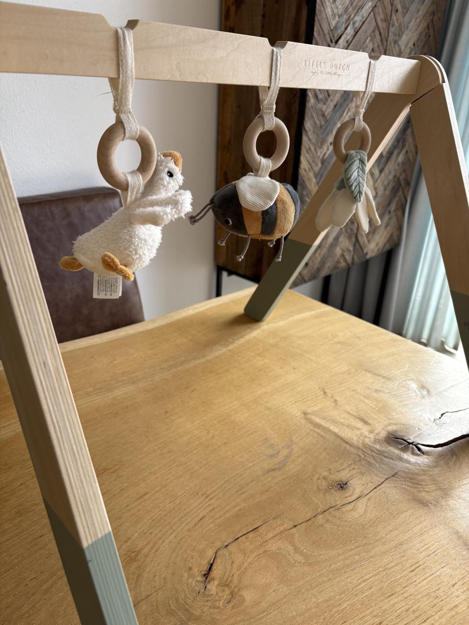 Leuke Little dutch baby gym van hout