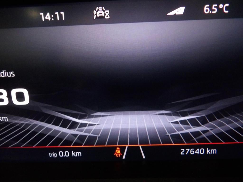 Skoda Kamiq 1.0 tsi greentech 110pk dsg-7 monte carlo