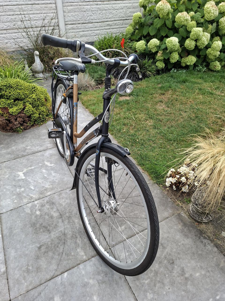 Gazelle free