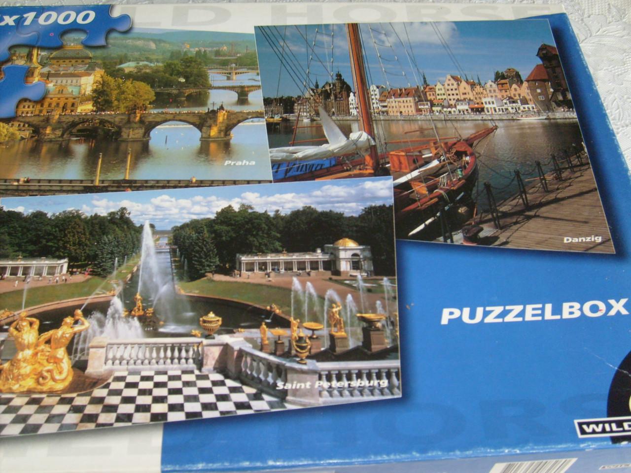 Assortiment Legpuzzels 1000 st