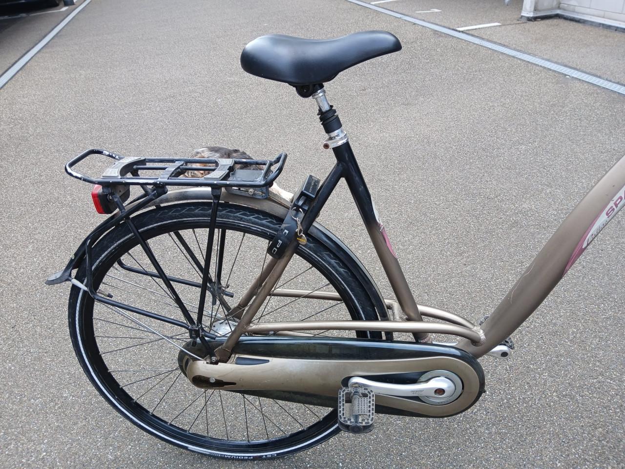 Damesfiets Sparta