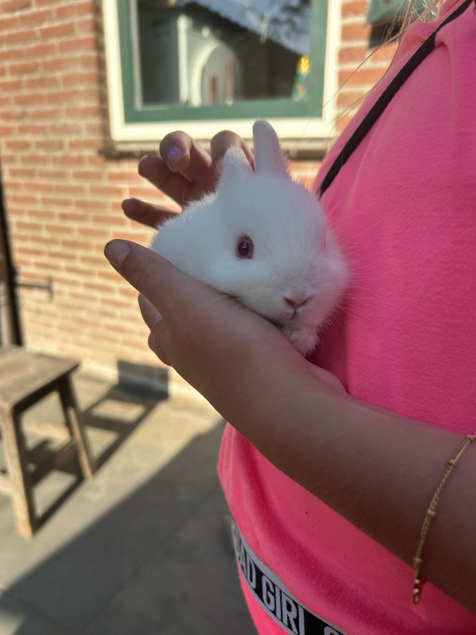 2 jonge pooltjes