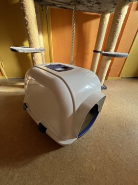 XL Kattenbak
