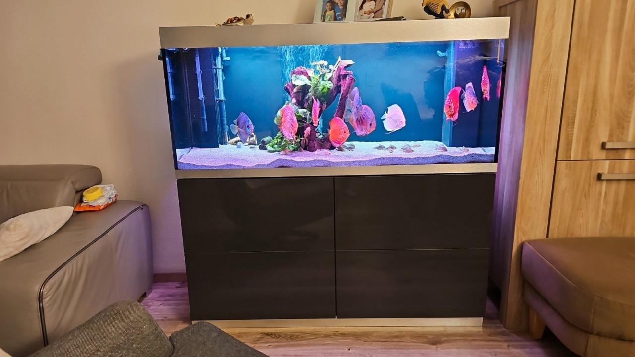 Te koop Oase verlichtingsset compleet