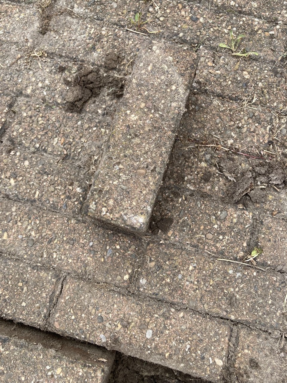 Gratis afhalen: terras klinkers!