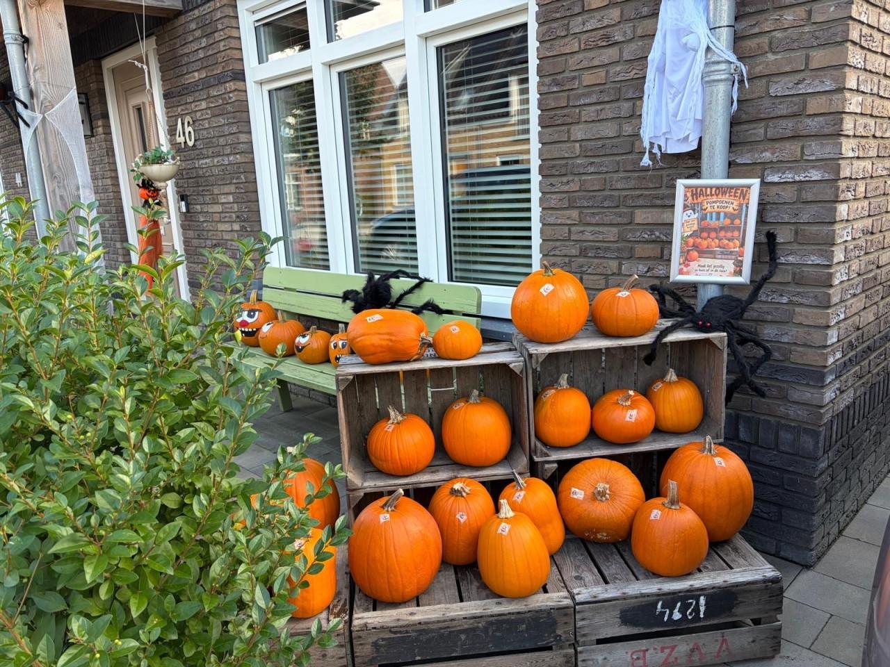 Pompoenen