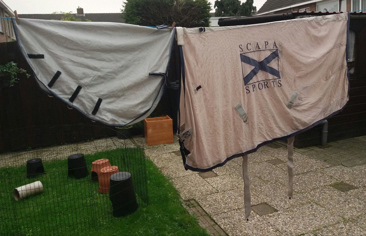 Scapa vliegendeken