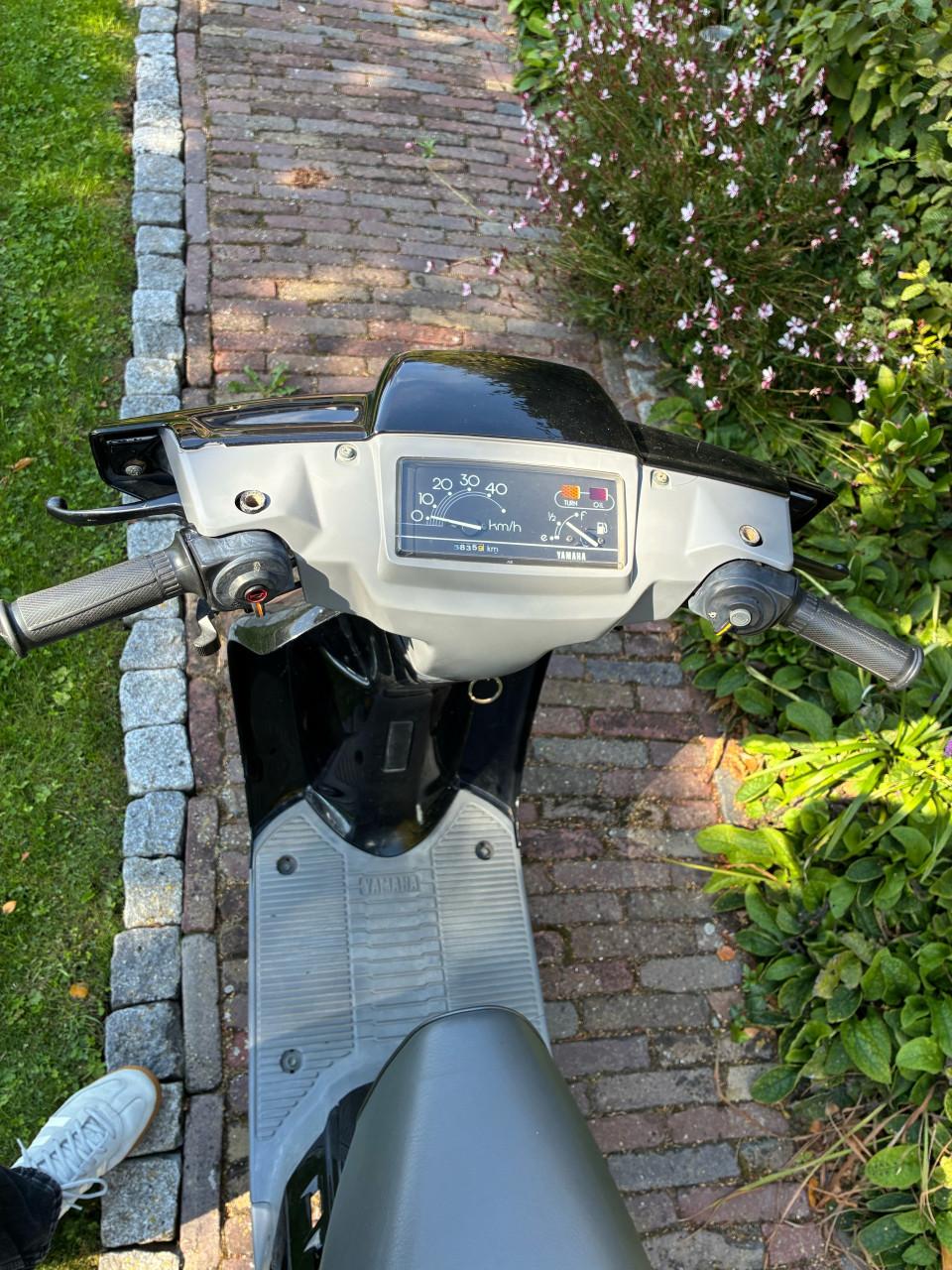 Yamaha mint