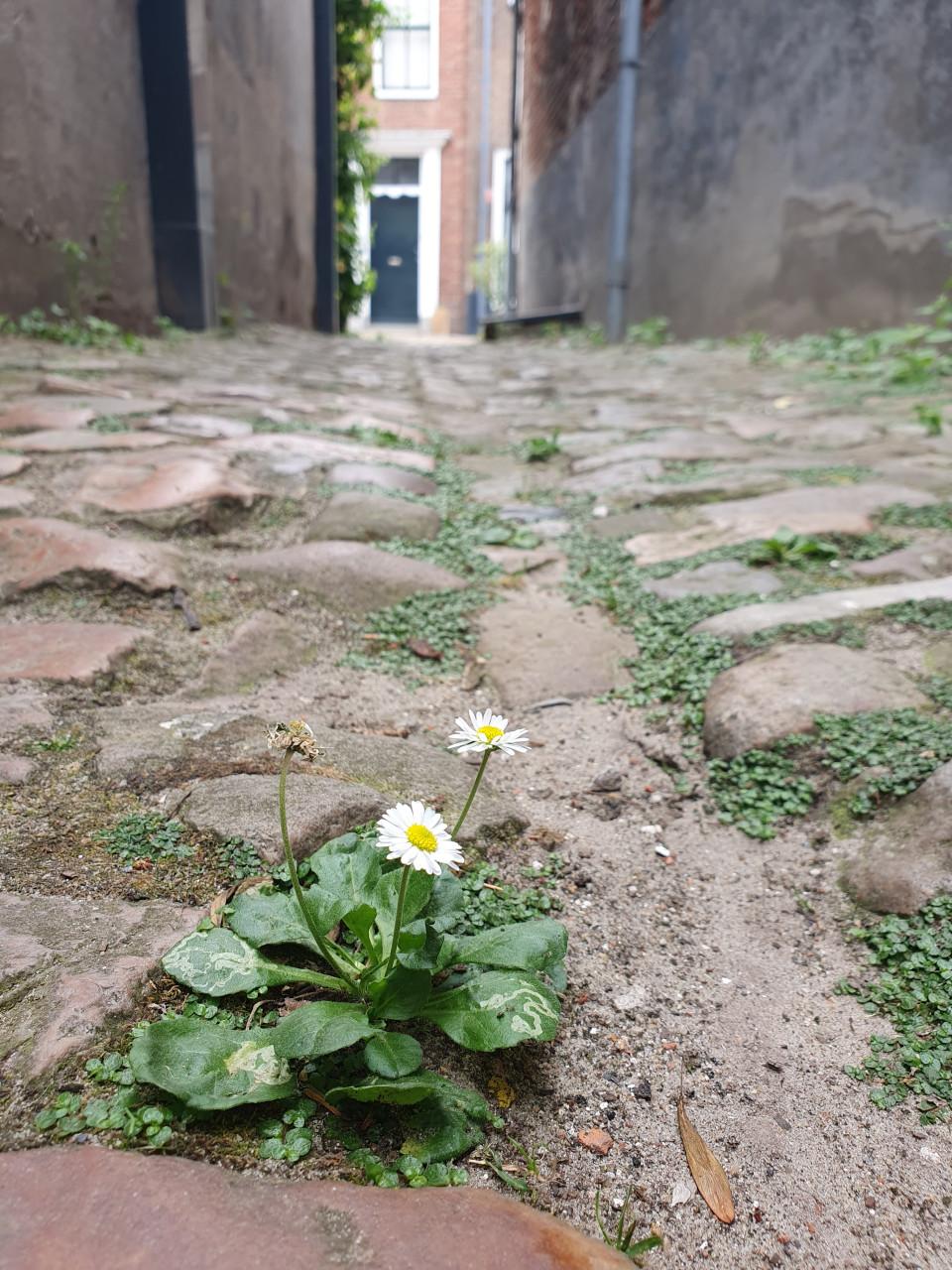 Fotoworkshop (groot) ouder en kind