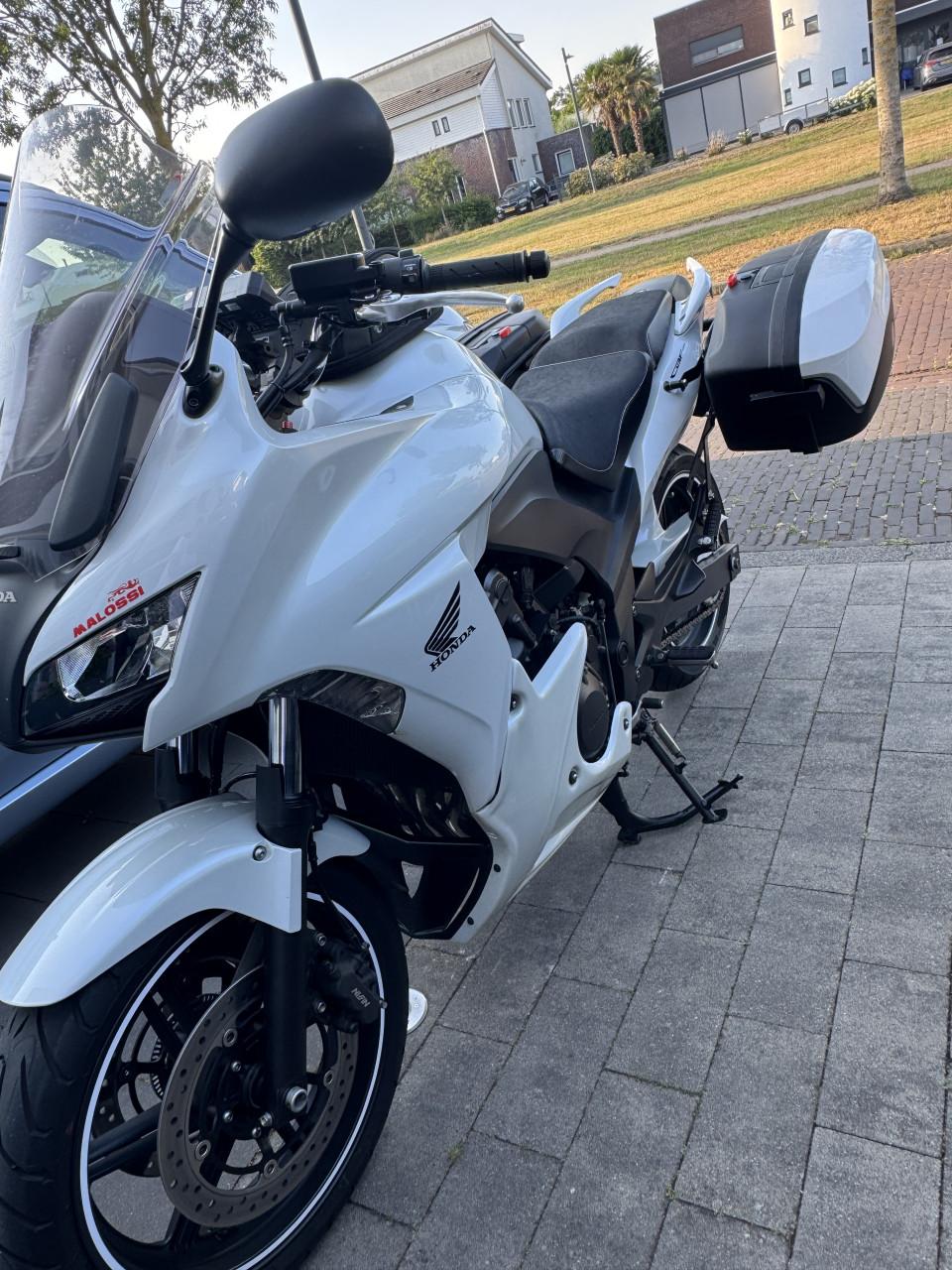 Motor