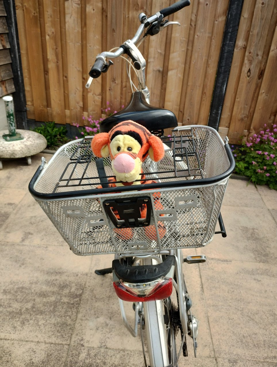 Fietsmand hondje
