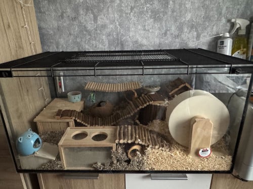 Hamster met hok