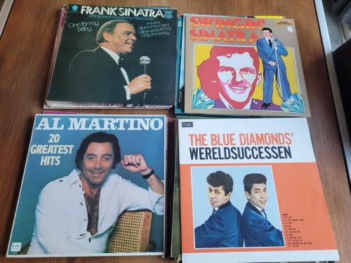 24 Heerlijke Evergreen LP's....