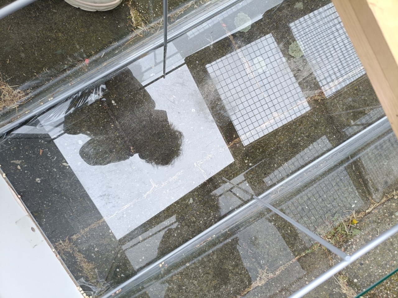 Grote glazen bak