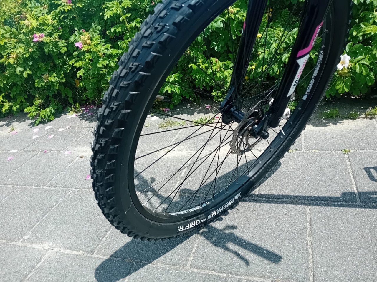 Stoere TREK dames MTB Z.G.A.N.