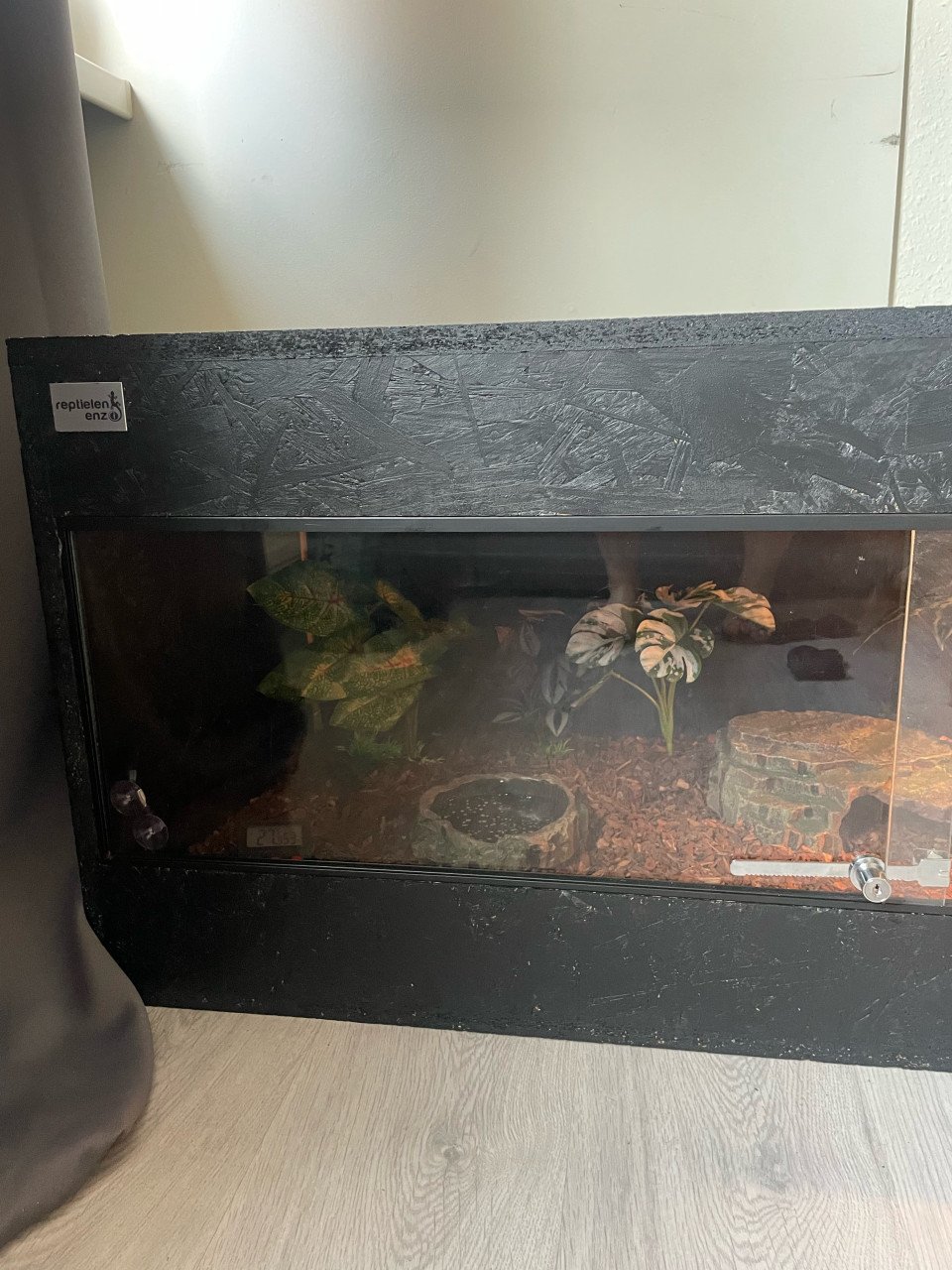 Terrarium + slang