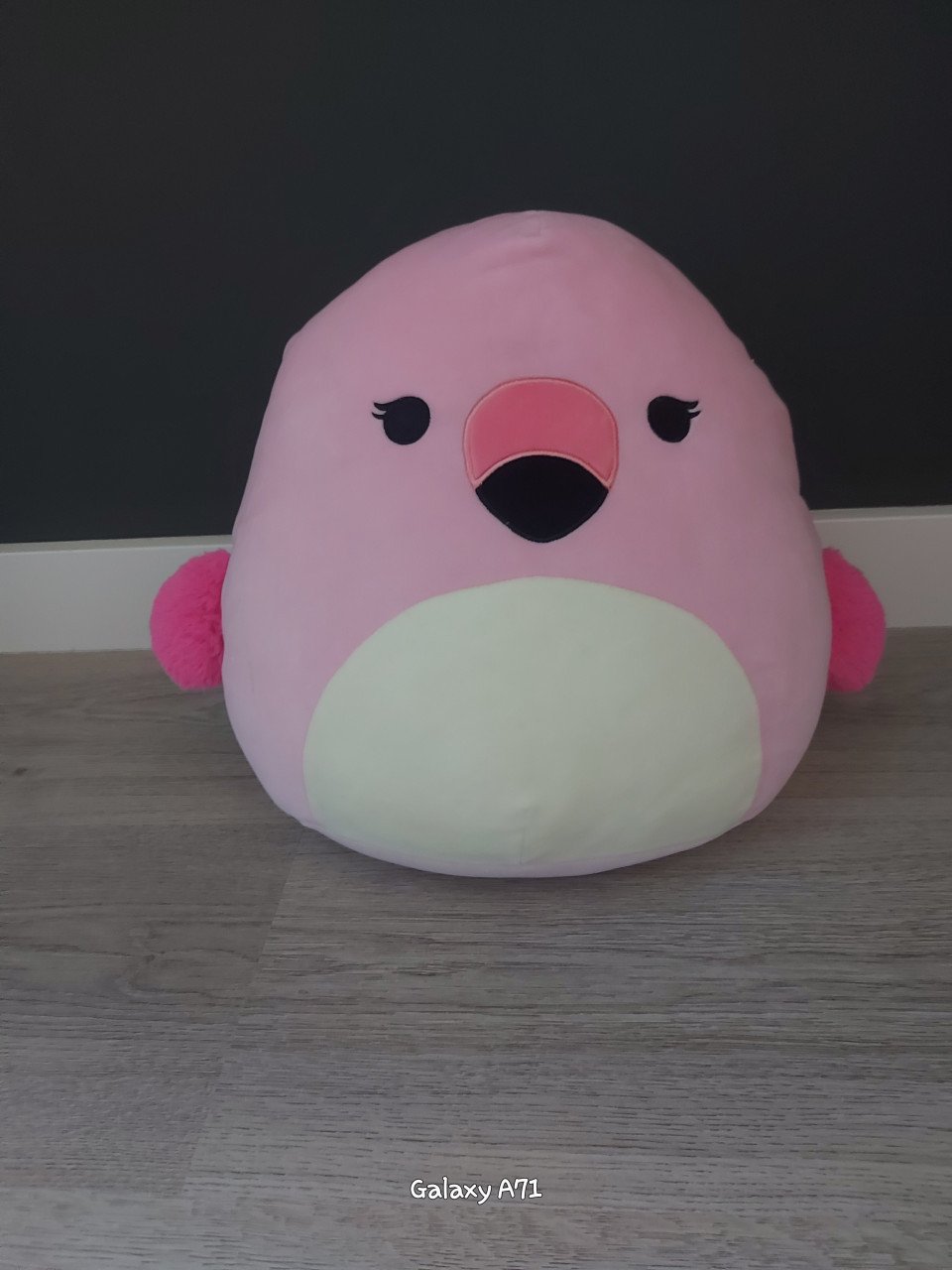 Squishmallows medium size