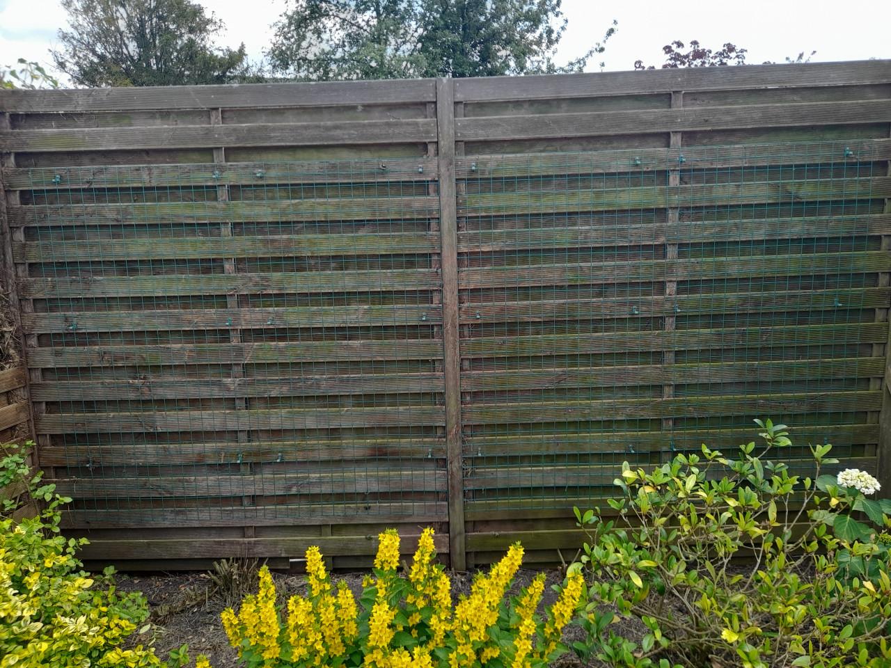 Klimpanelen voor (klim)planten