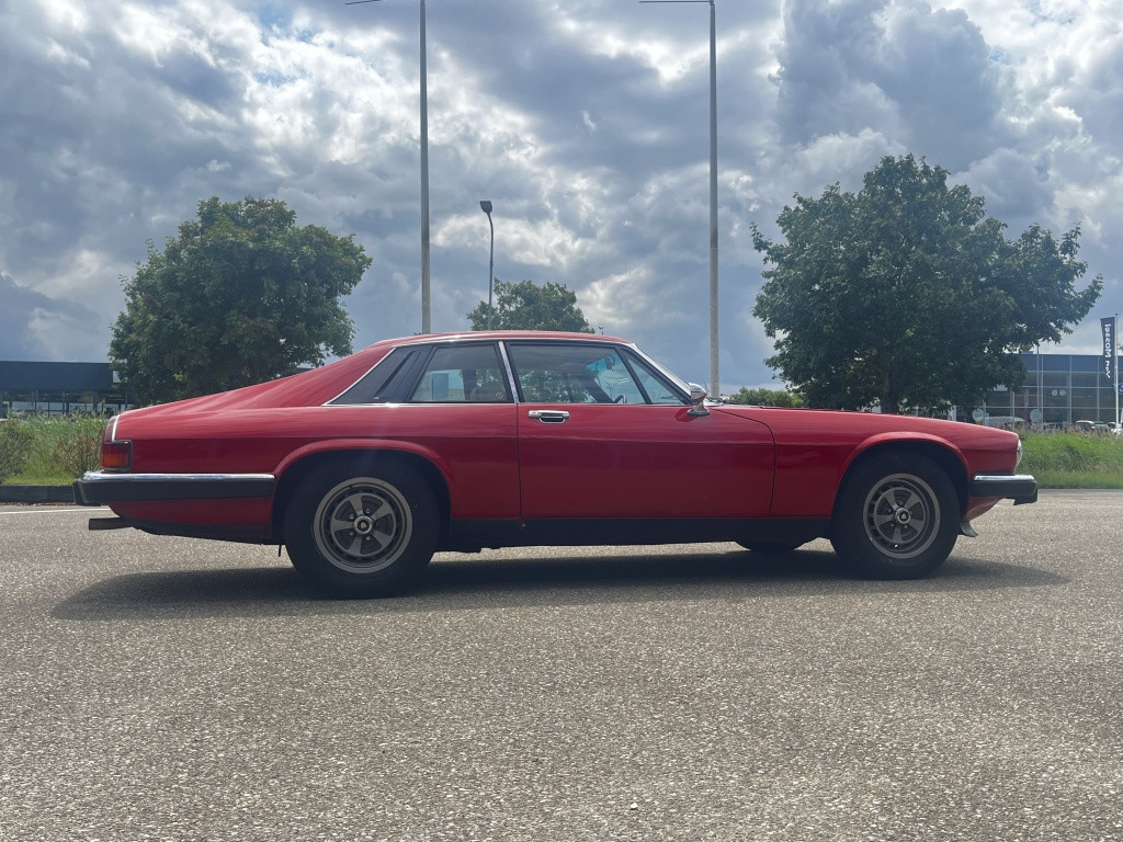 Jaguar Xj xjs 5.3 v12 coupé