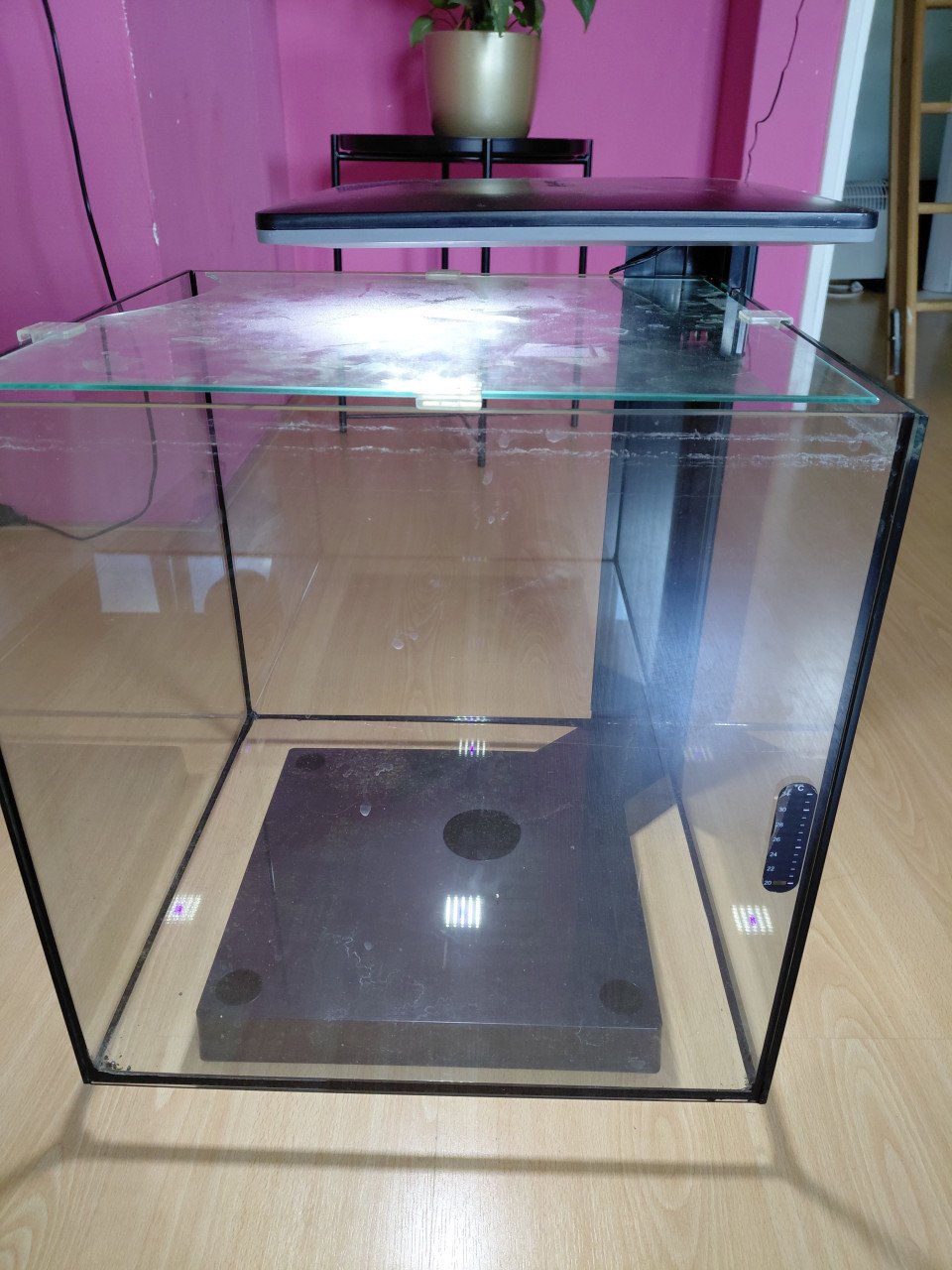 Aquarium 60 liter met toebehoren