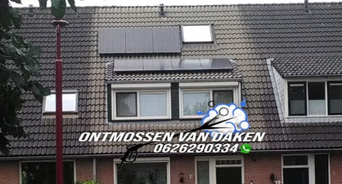 Dakreiniging
