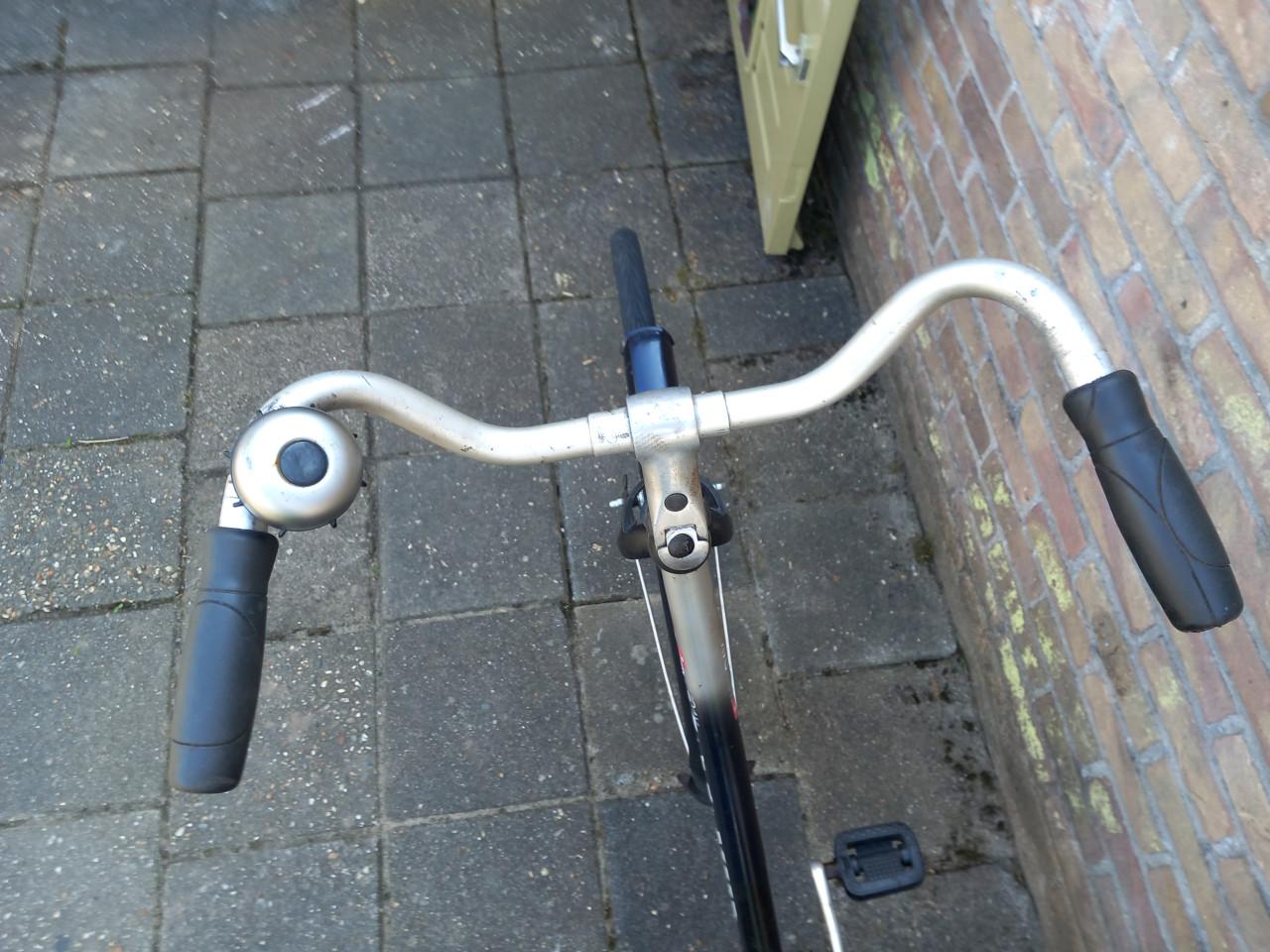 Batavus holliday damesfiets