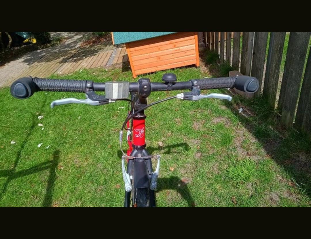 Rode Kickbike Sport G4