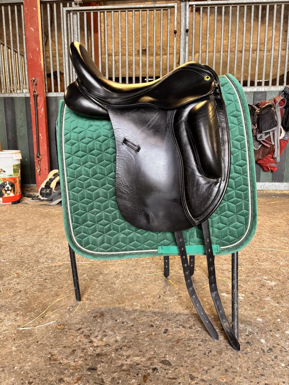 Anatomica Cygnus dressuurzadal