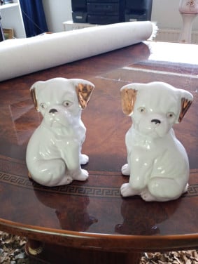 2 hondjes