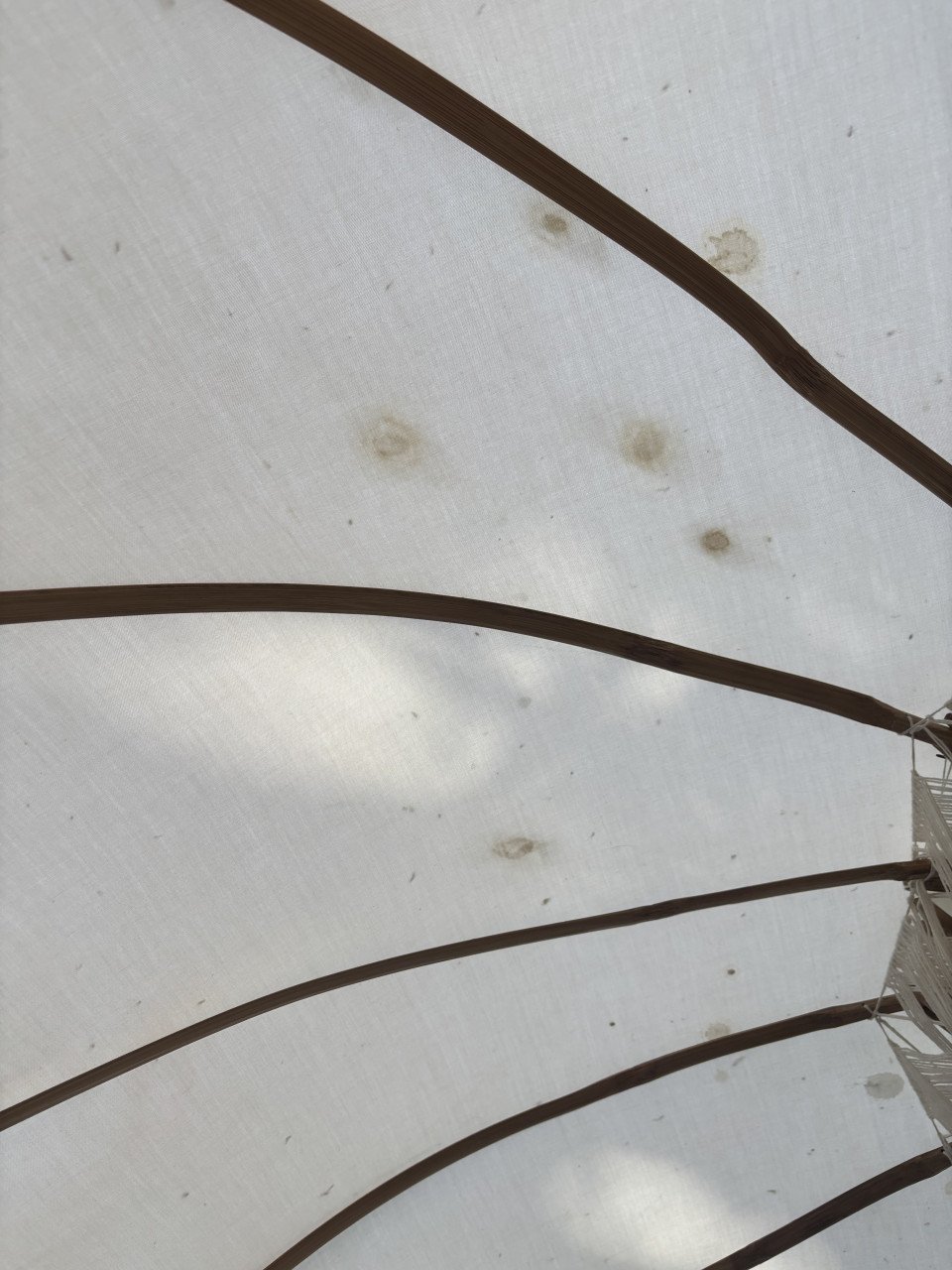 Ibiza Parasol