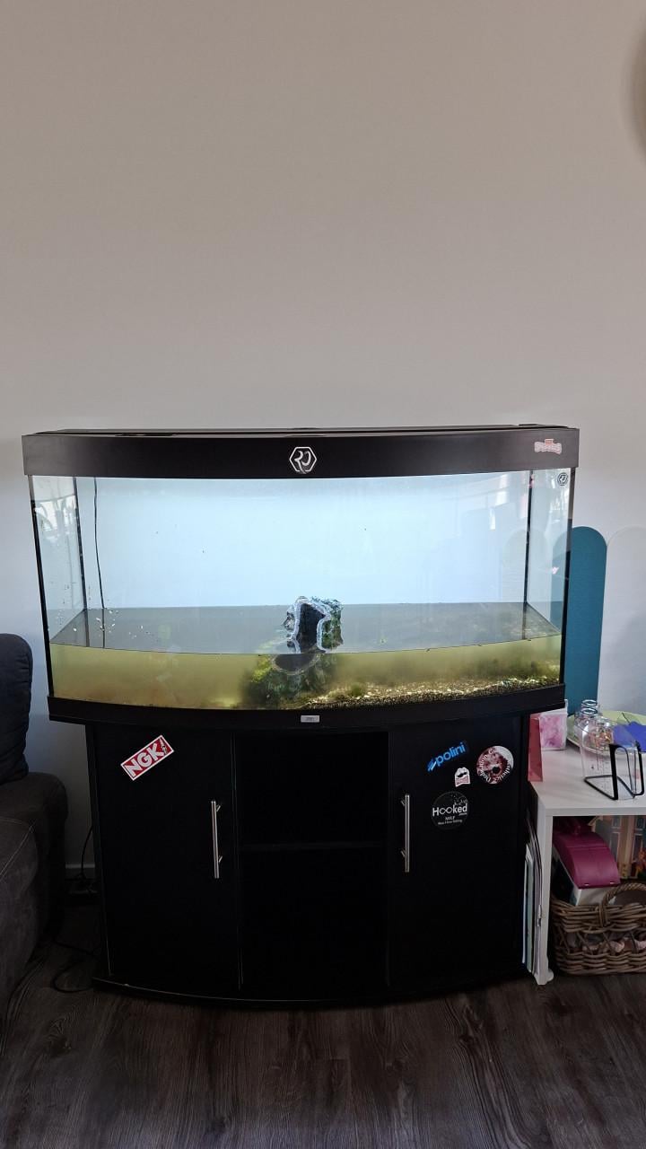 Leeg, Juwel aquarium vision 260L