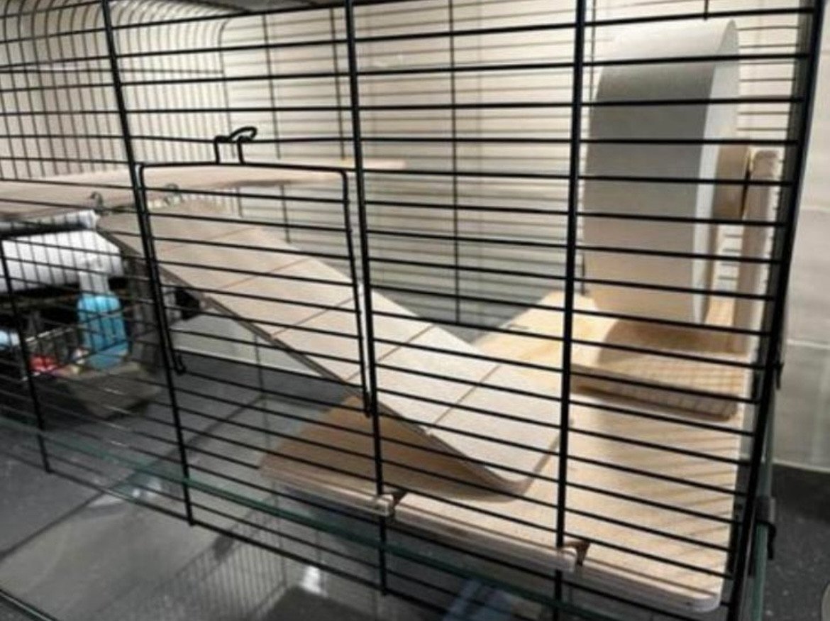 Hamsterkooi